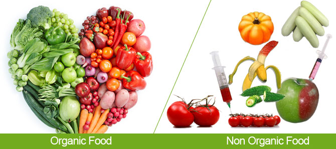 non-organic-foods-2