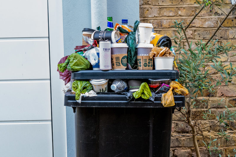 How You Can Help Divert Food Waste